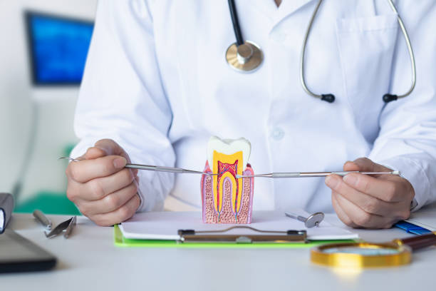 Best Cracked Tooth Emergency Dentist  in Allendale, MI